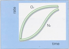 N2/O2 Adsorption velocity curve