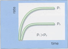 Adsorption rate curve depending on pressure