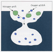 MSC ( magnification )